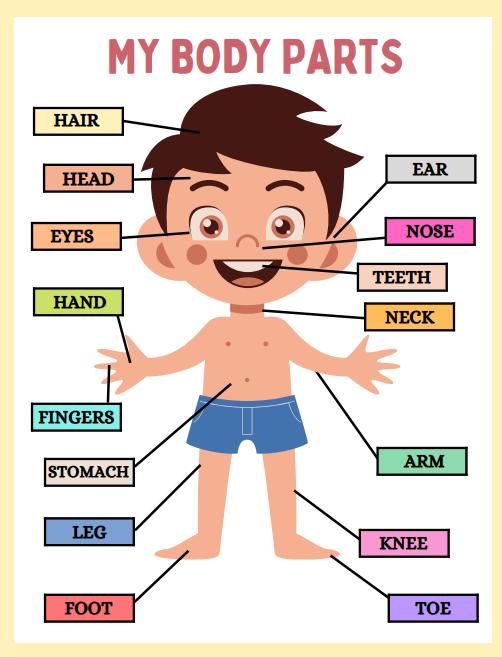 Sample Science worksheet covering animals and plants